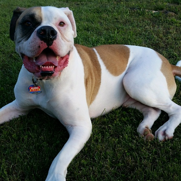 Meet your Posher, Carolyn - Picture 1 of 1